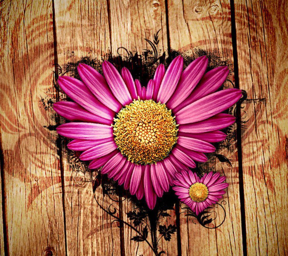 Pink Daisy Love Android Wallpaper 960x854 HD Wallpaper For Phone