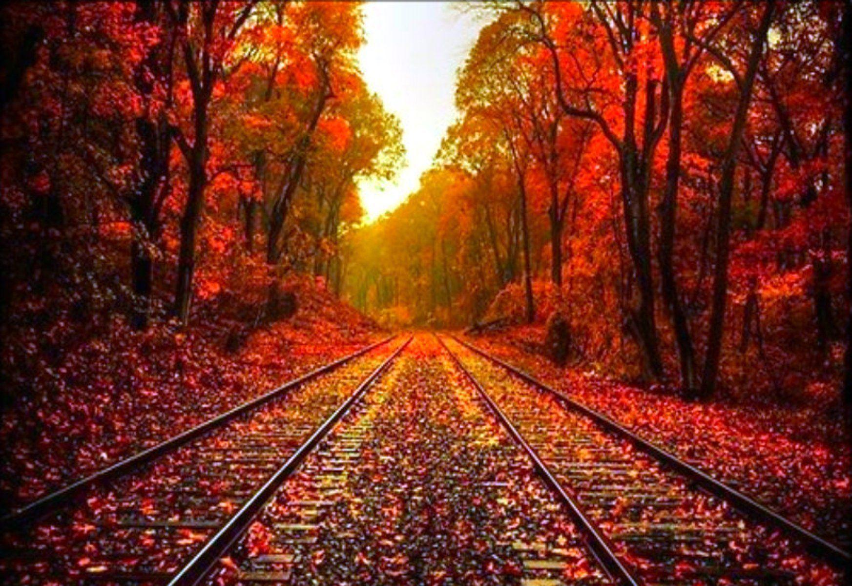 Beautiful Fall Background For