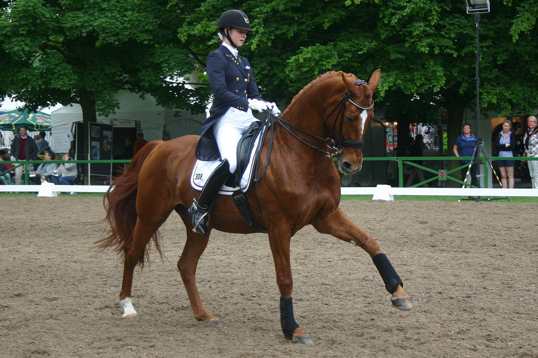 More Like Dressage Canter Pirouette Stock 01 By LuDa Stock