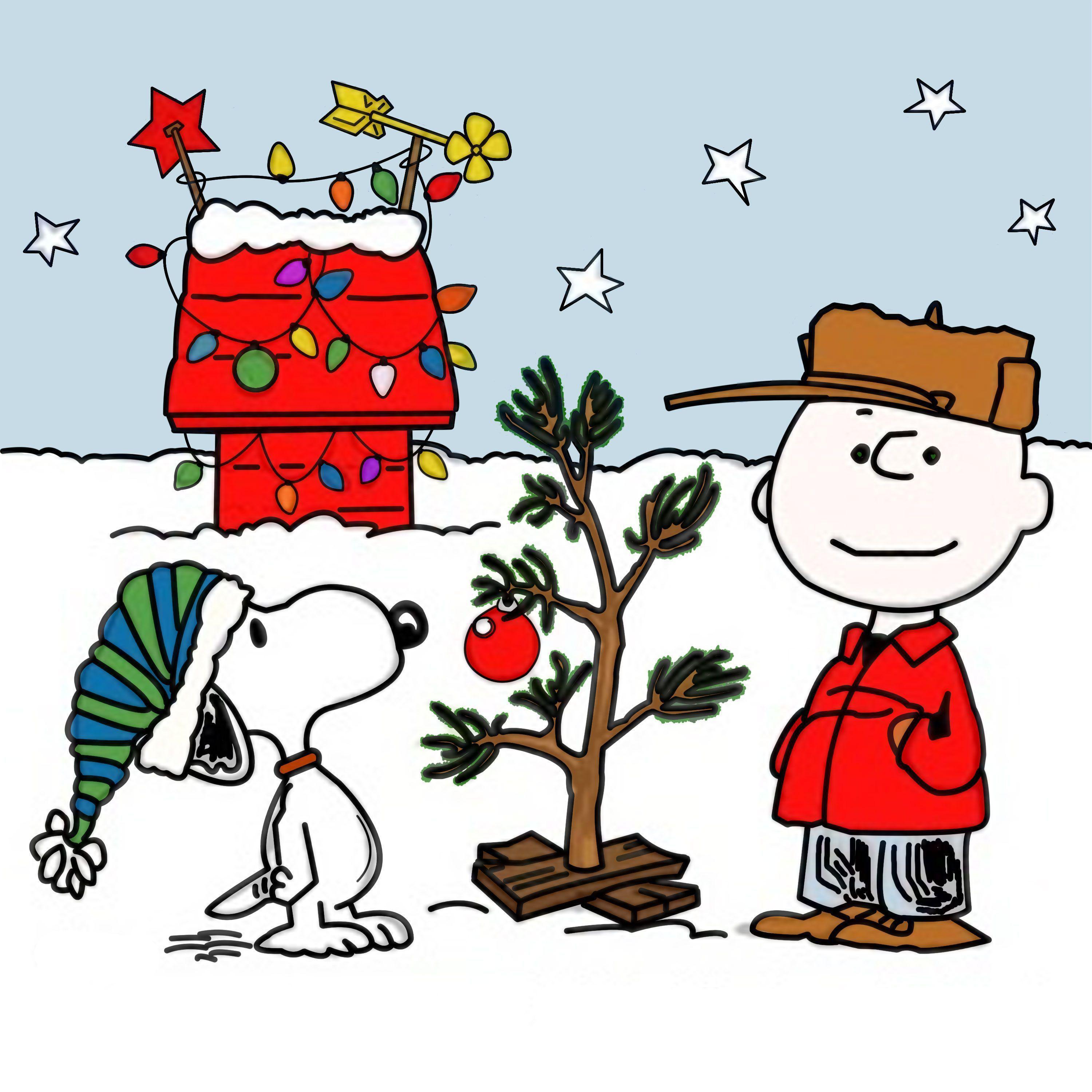 Xmas Stuff For > Charlie Brown Christmas Tree