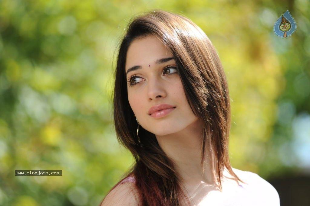 Tamanna Hot Photo. Tamanna Hot Photo photo gallery. Tamanna