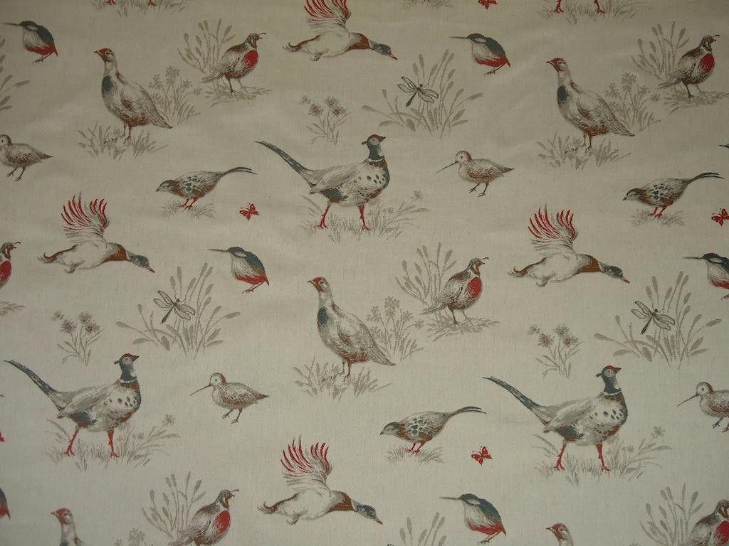 Animals For > Pheasants Wallpaper