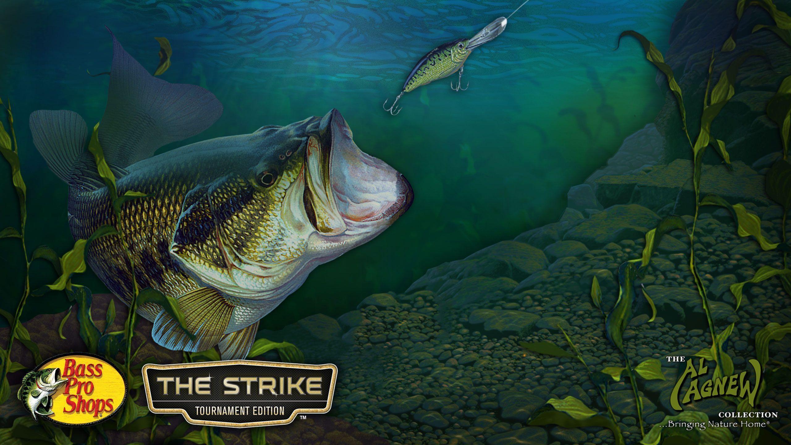 Wallpapers For > Largemouth Bass Wallpapers
