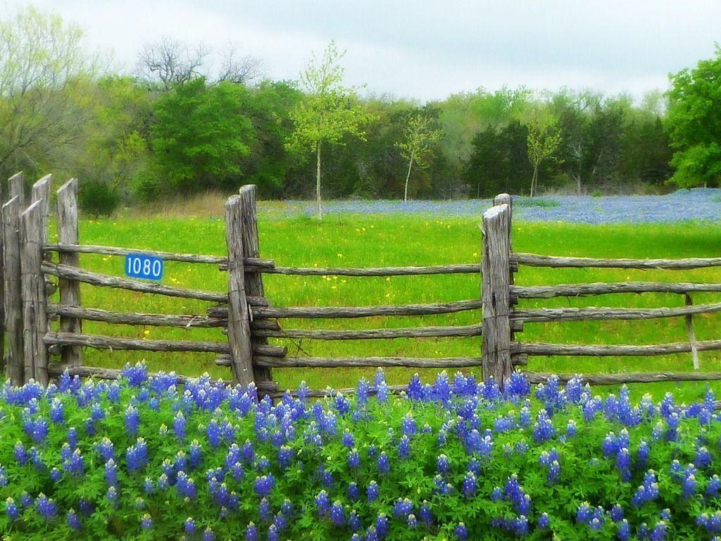 Texas Hill Country–Willow City Loop. For the Love of Bikes