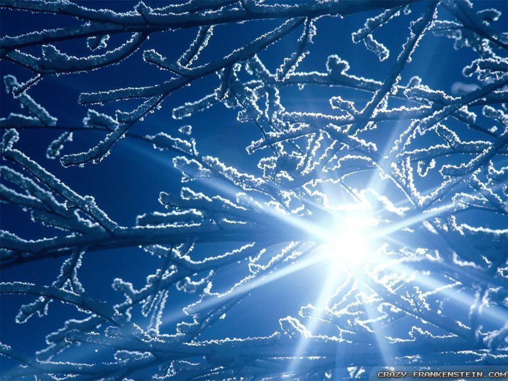 Winter Scenes 22 Background. Wallruru