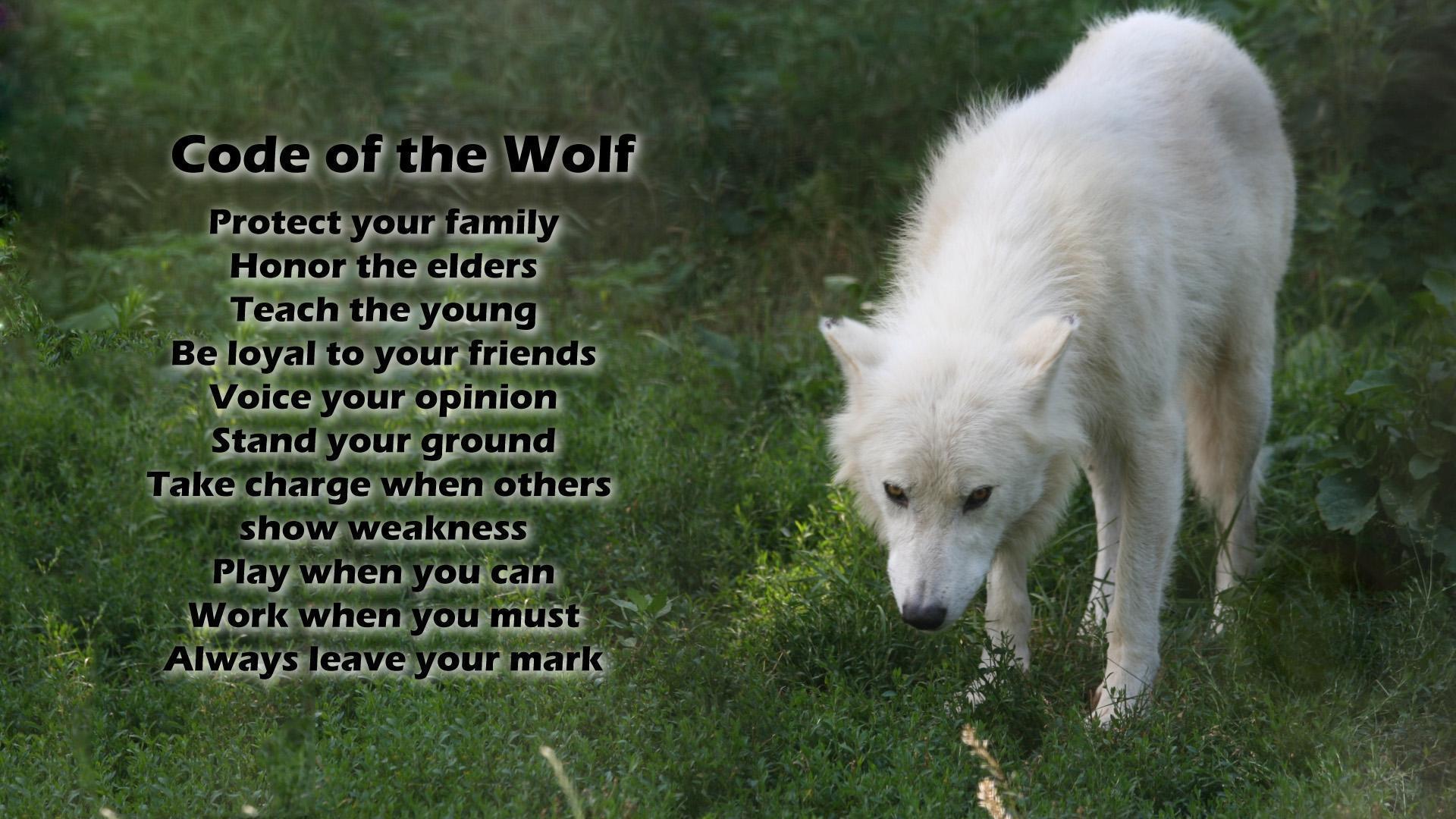 View topic Wolves of Alrix {new and accepting}