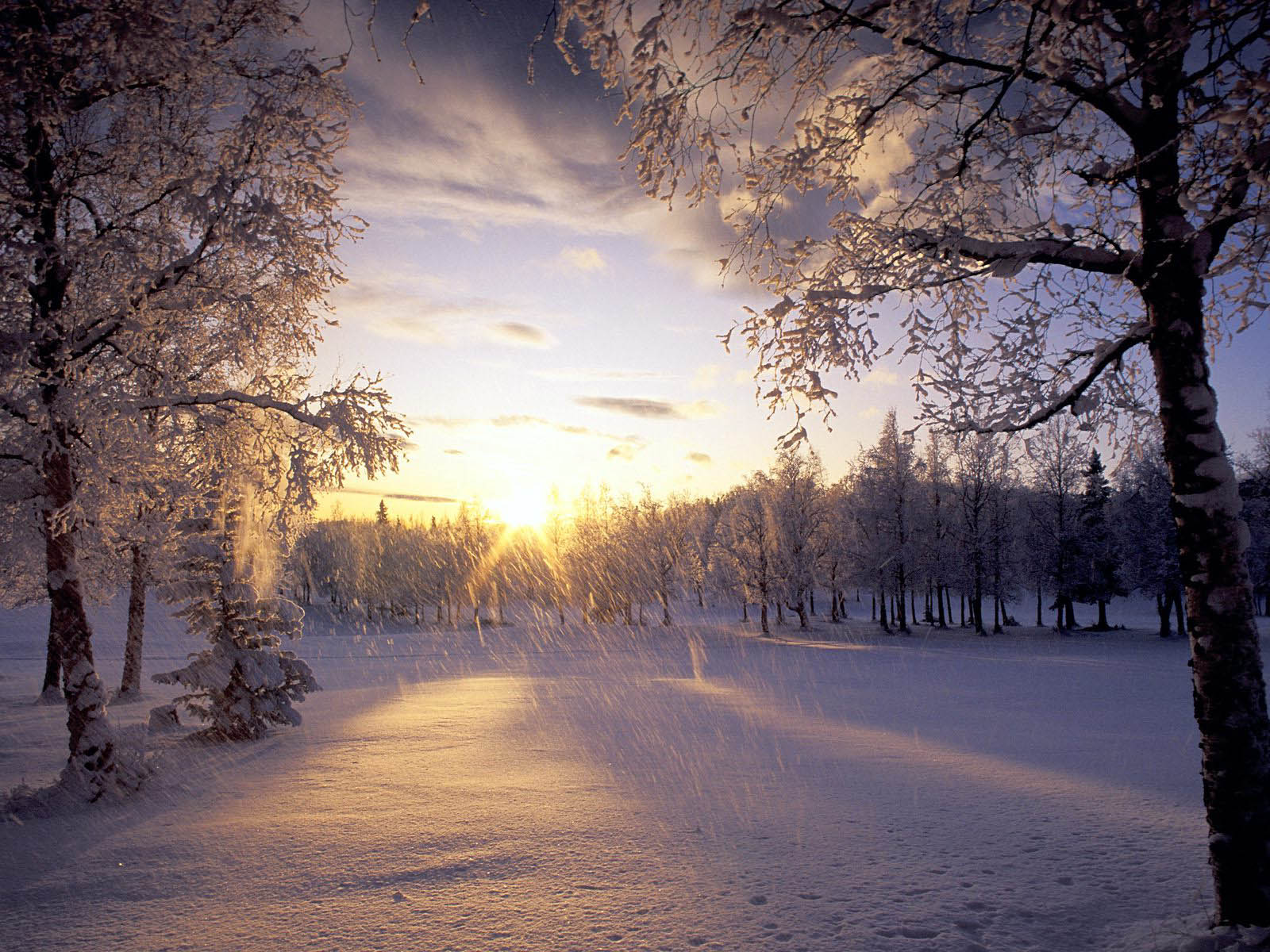 snow scenery wallpaper for sale