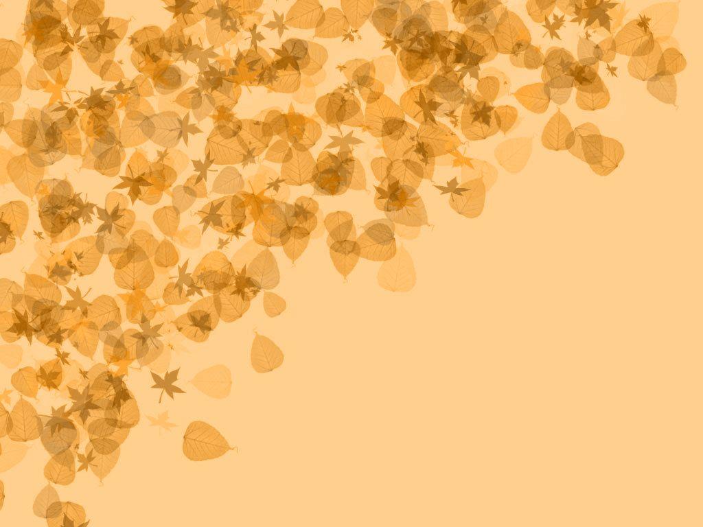 Autumn Leaves Picture and Wallpaper Items