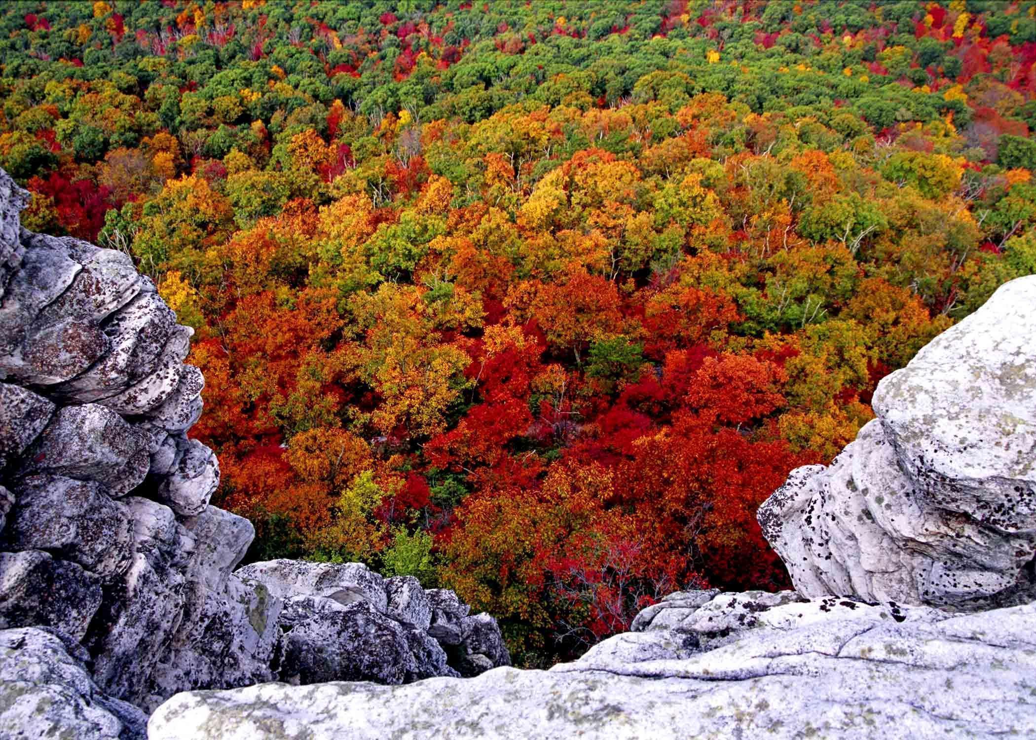 File Beautiful forest lake fall foliage trail West Virginia HD Wa