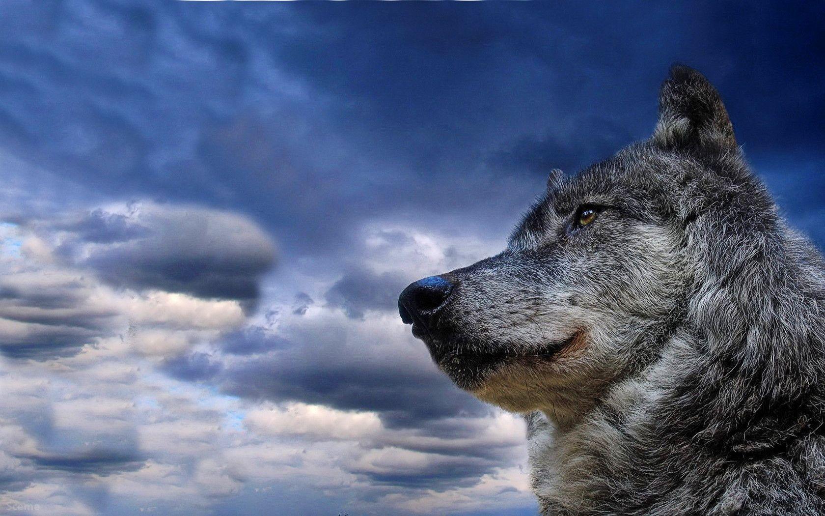 3D Animated Wallpaper