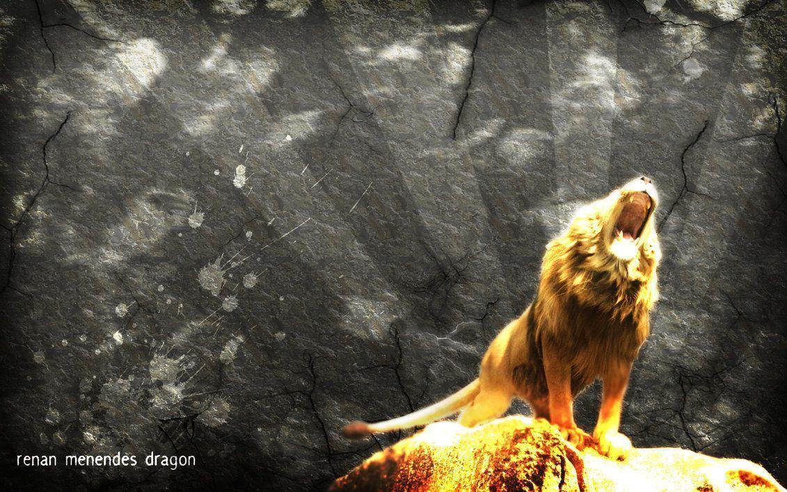 Wallpaper HD: aslan wallpaper Aslan Wallpaper iPhone, Gs Aslan