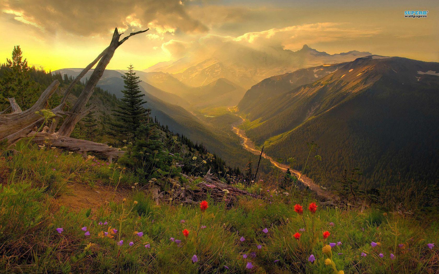 Mount Rainier National Park Wallpapers - Wallpaper Cave