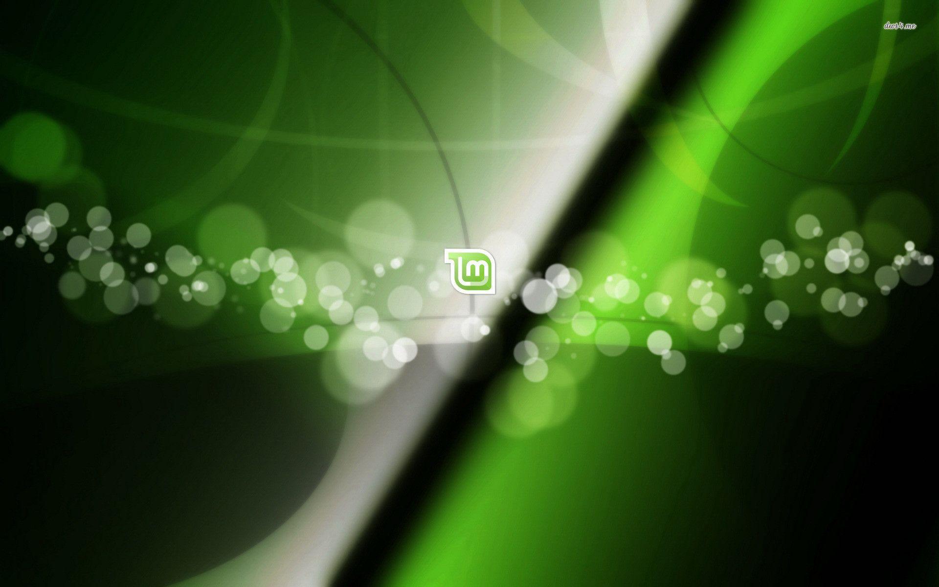 using autoenginuity scan tool with linux mint