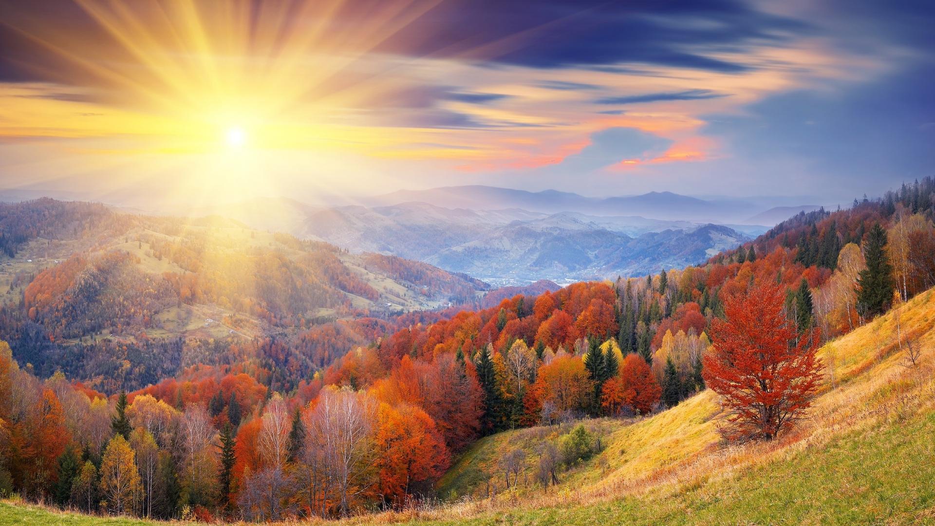 Autumn Beautiful Nature HD Wallpaper 1080p. HD Wallpaper