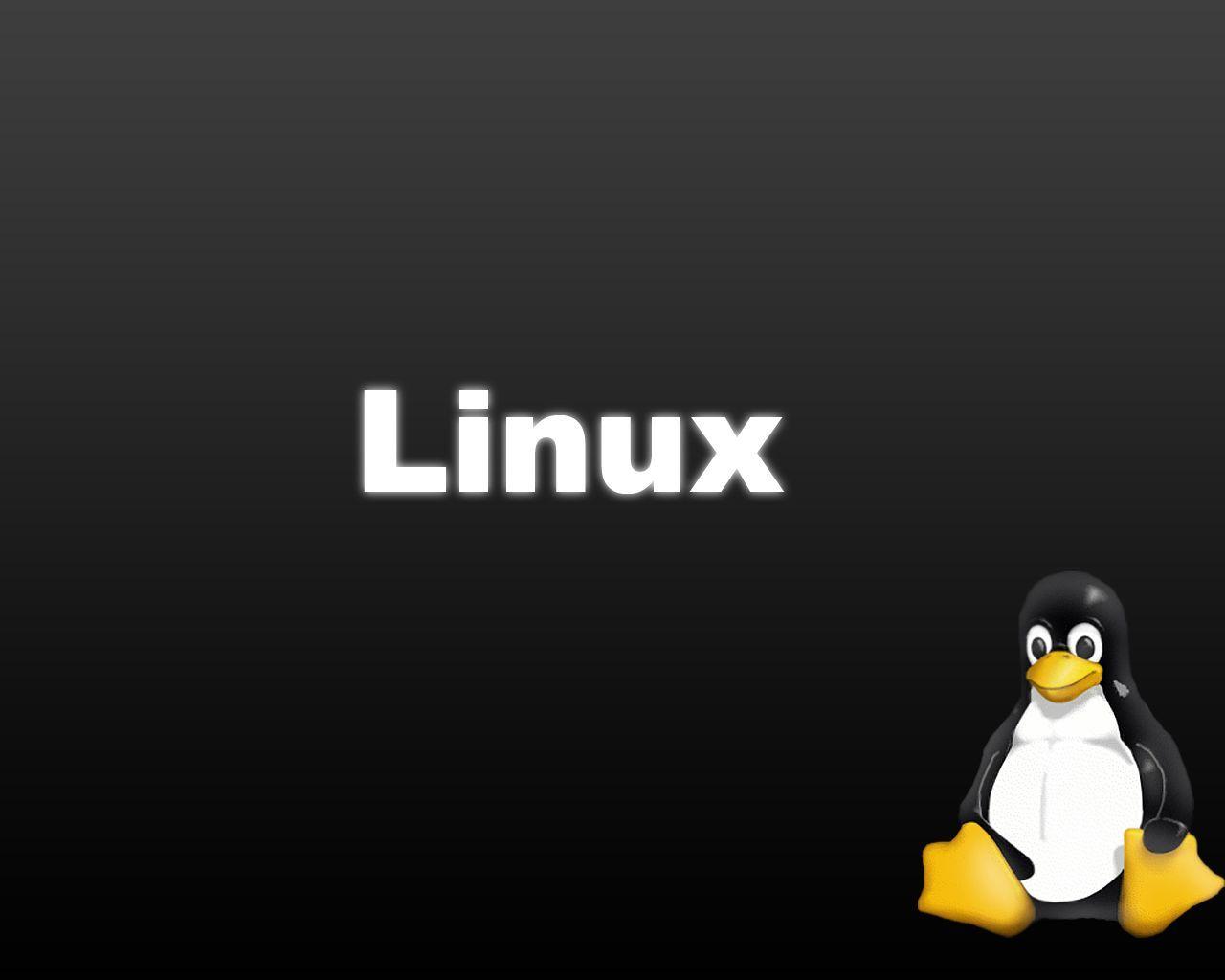 Linux Black Penguin