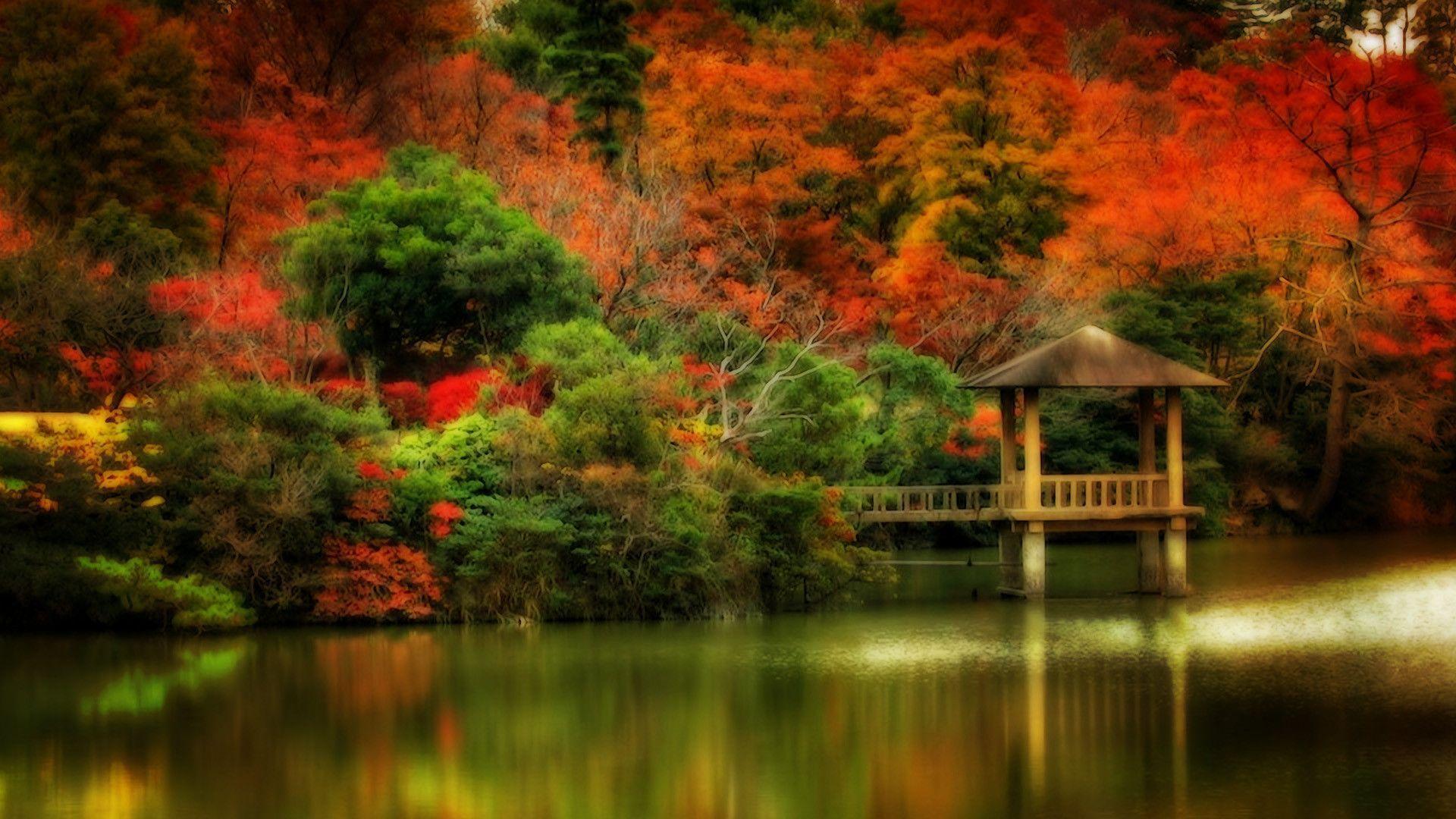 Android Wallpapers Autumn Scenes
