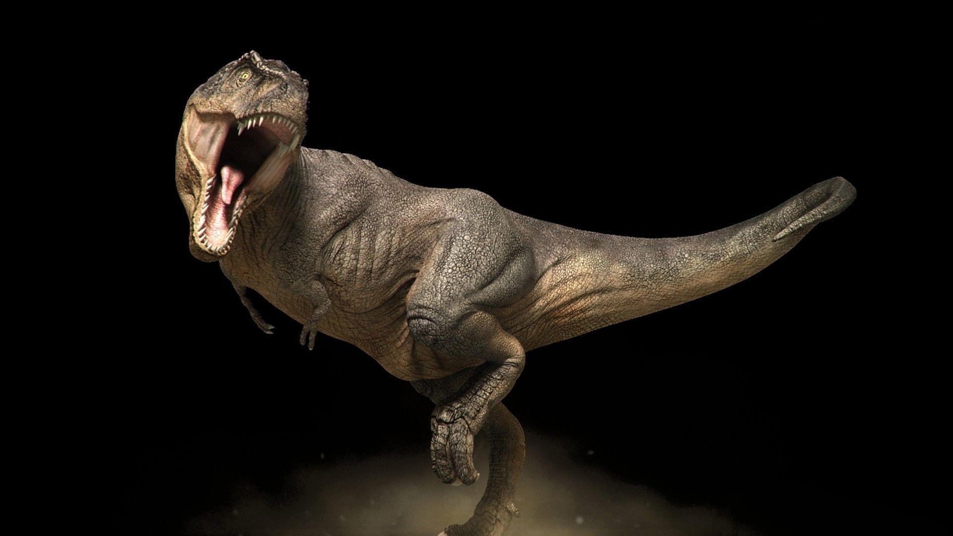 Tyrannosaurus HD Wallpaper