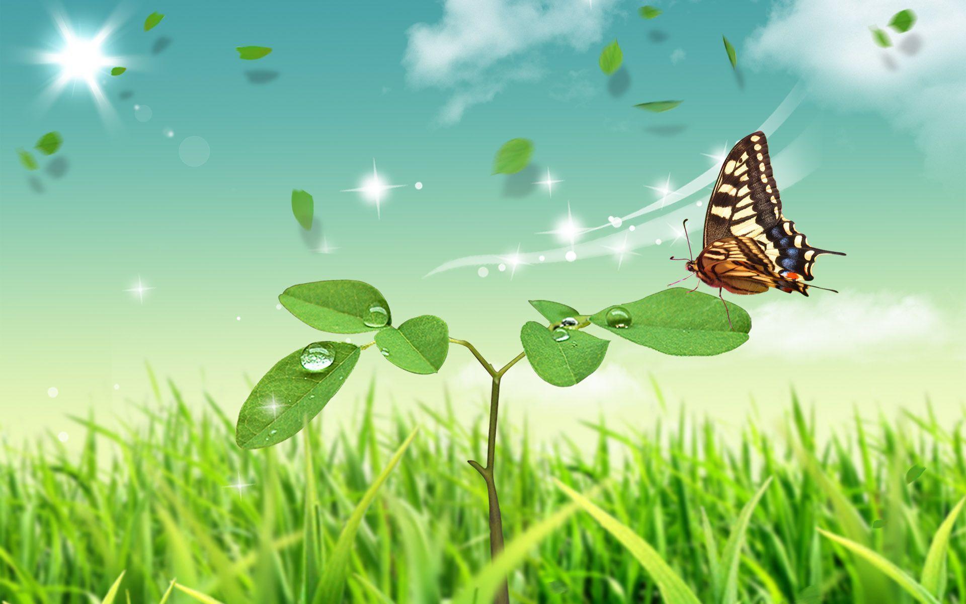butterfly wallpaper for desktop background windows / Wallpaper