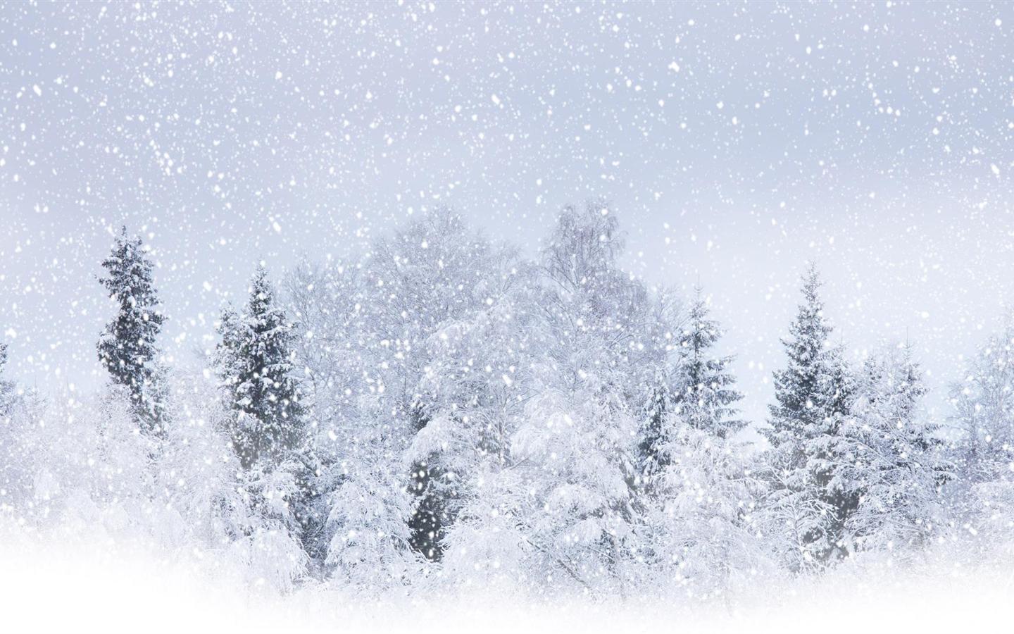 High Definition Winter With Snow Background