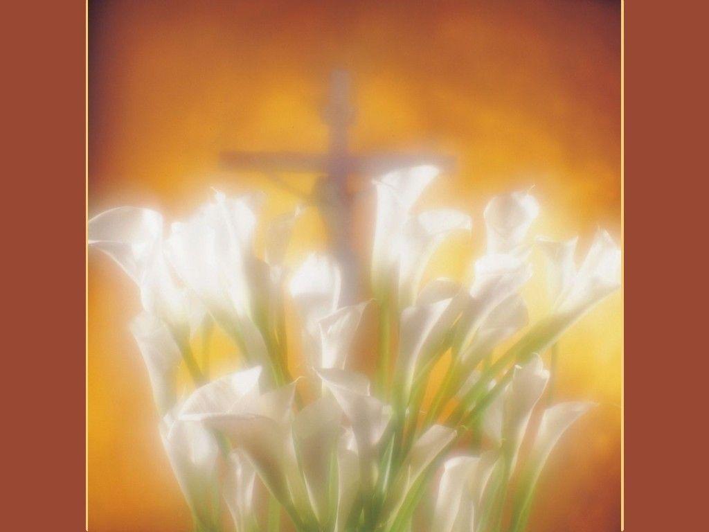 Download The Holy Cross Ambient Light Christian Wallpaper 1024x768