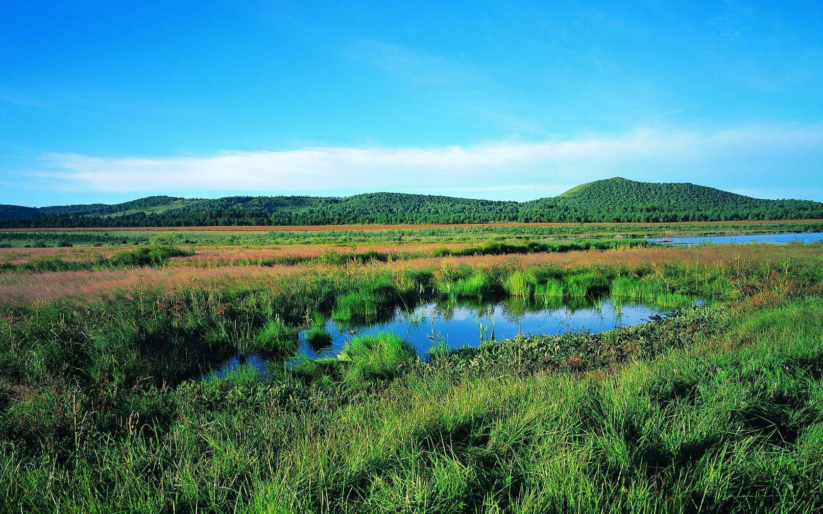 Pasture scenery of vast grassland 22874 landscape