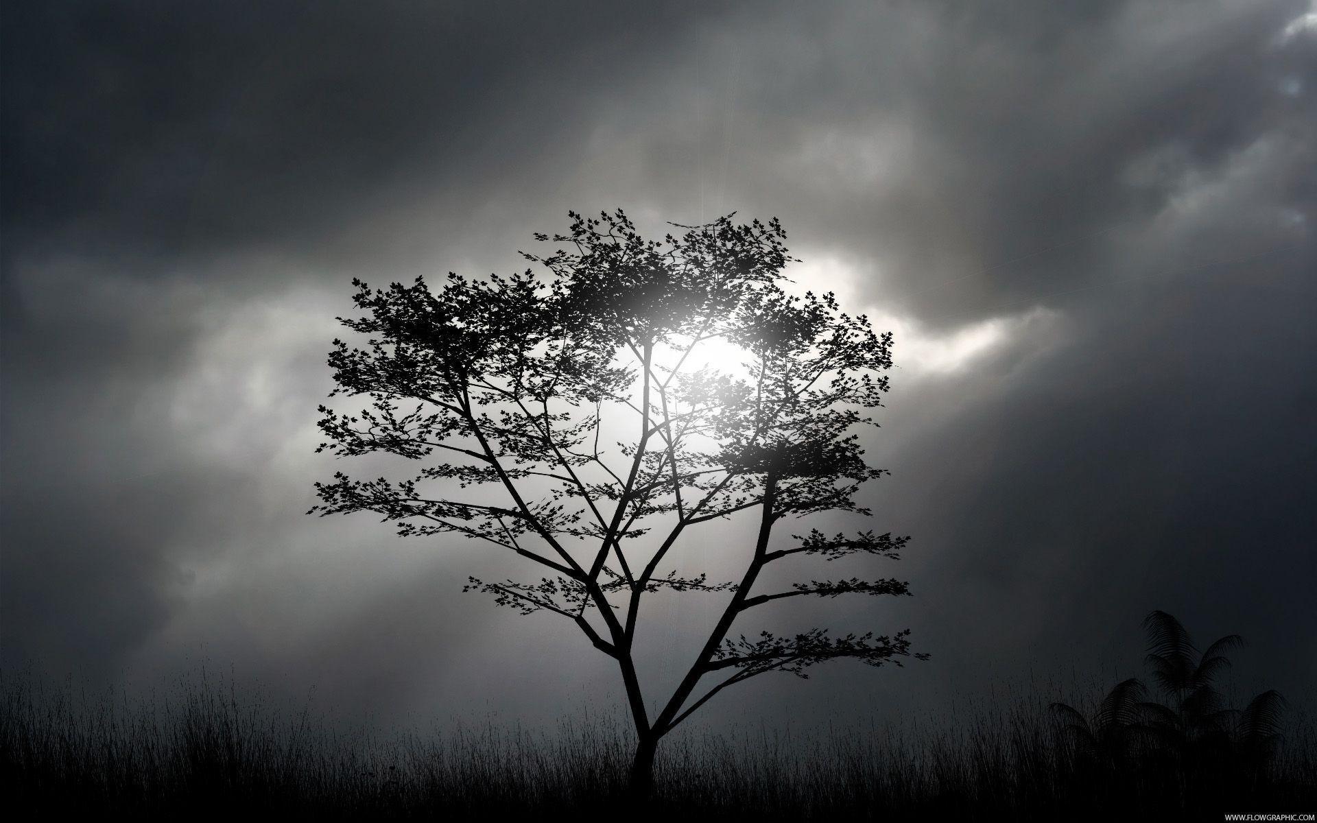 Glare wallpaper series 22P Free Wallpaper, Free Desktop Wallpaper