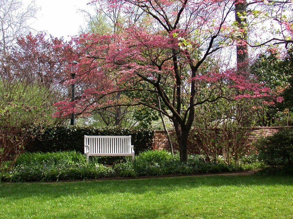 Early Spring Desktop Background