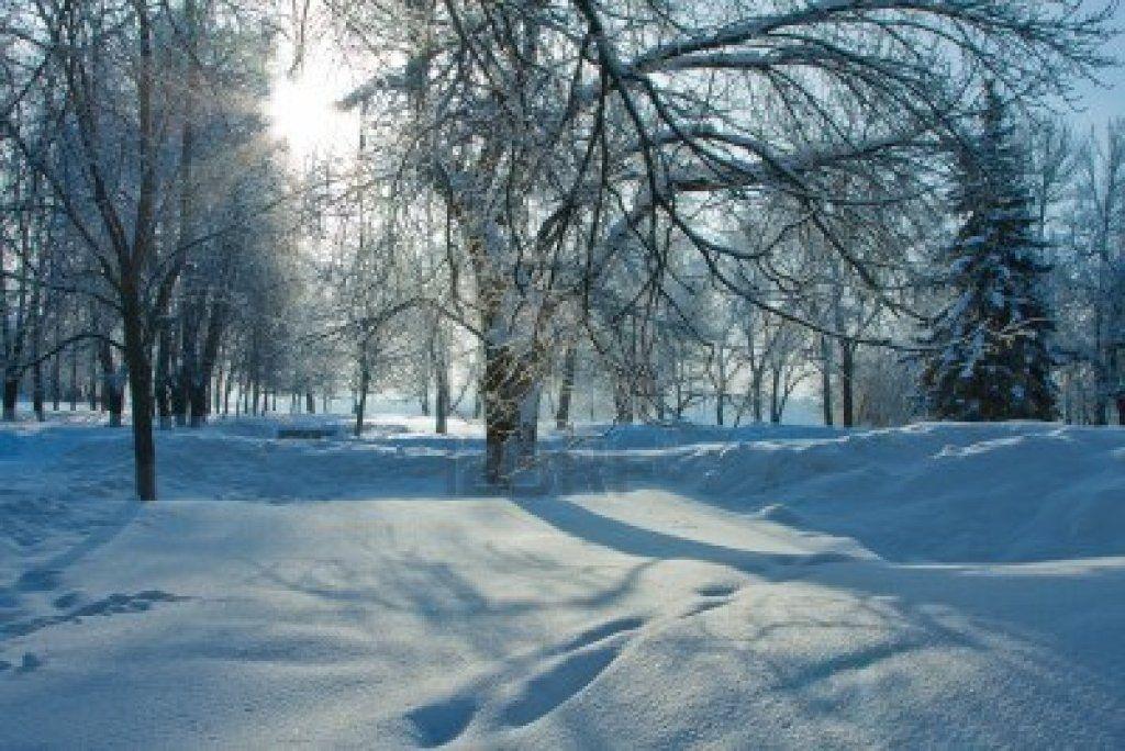 Pretty Winter Background For Desktops. fashionplaceface