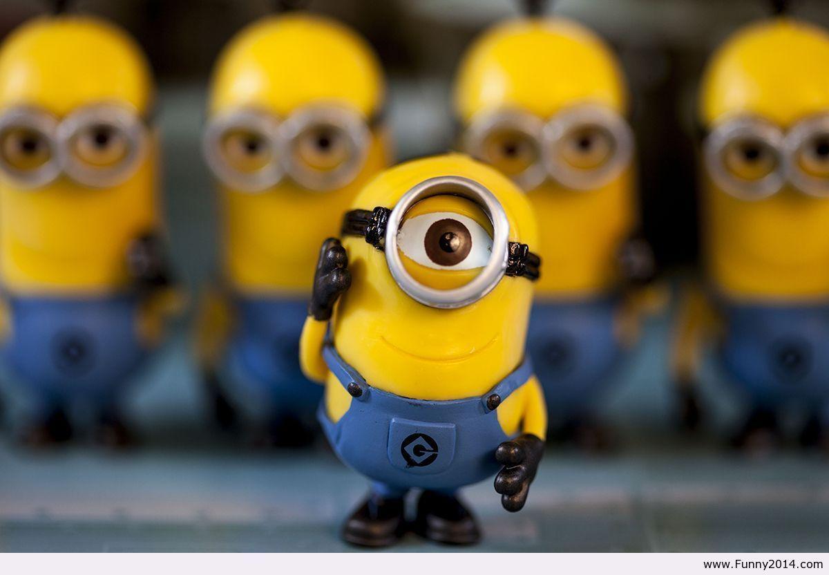 Minions Wallpapers Wallpaper Cave