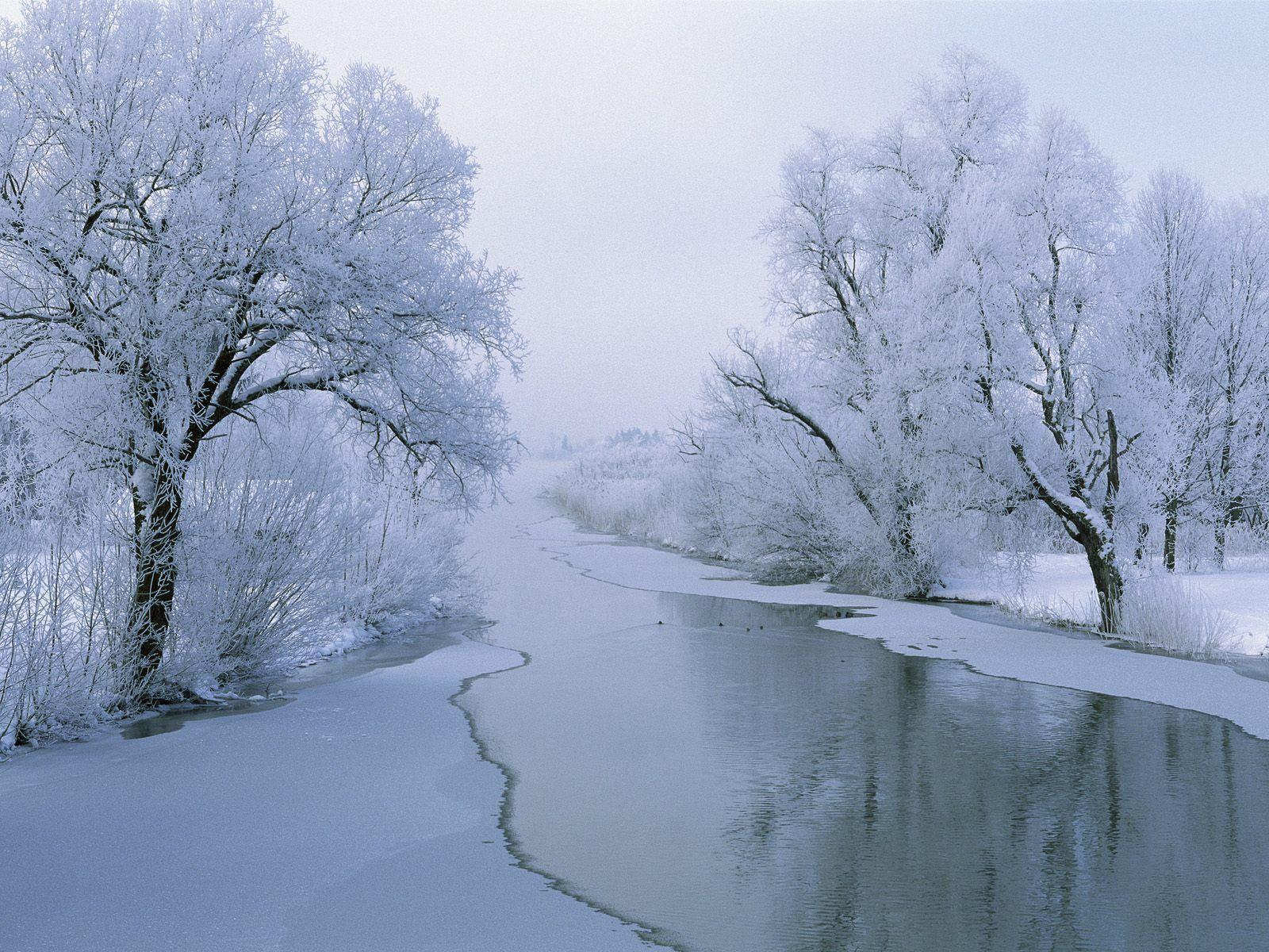 winter scene desktop background