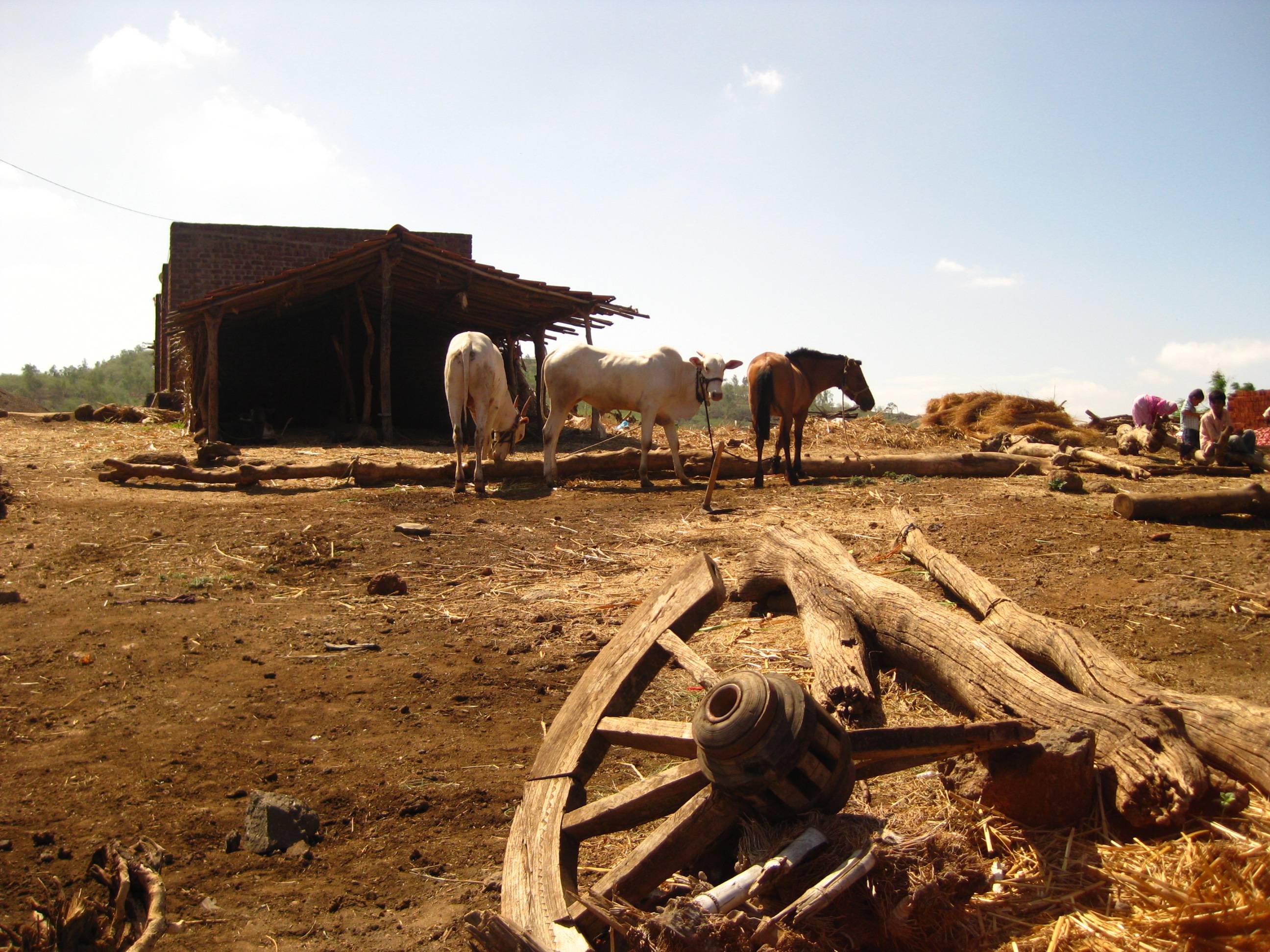 Wild Wild West Background