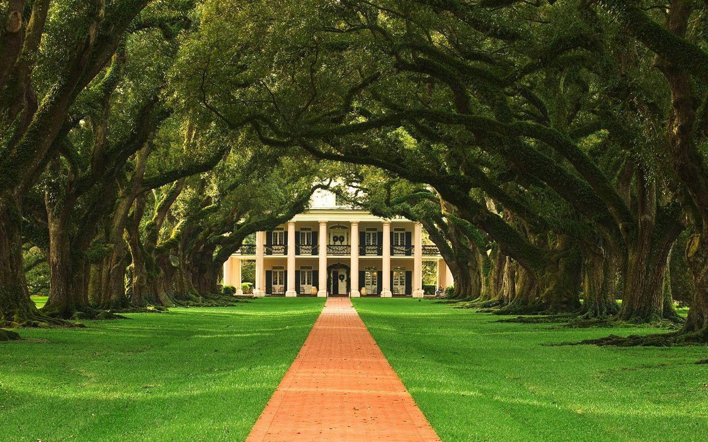 nature free wallpaper