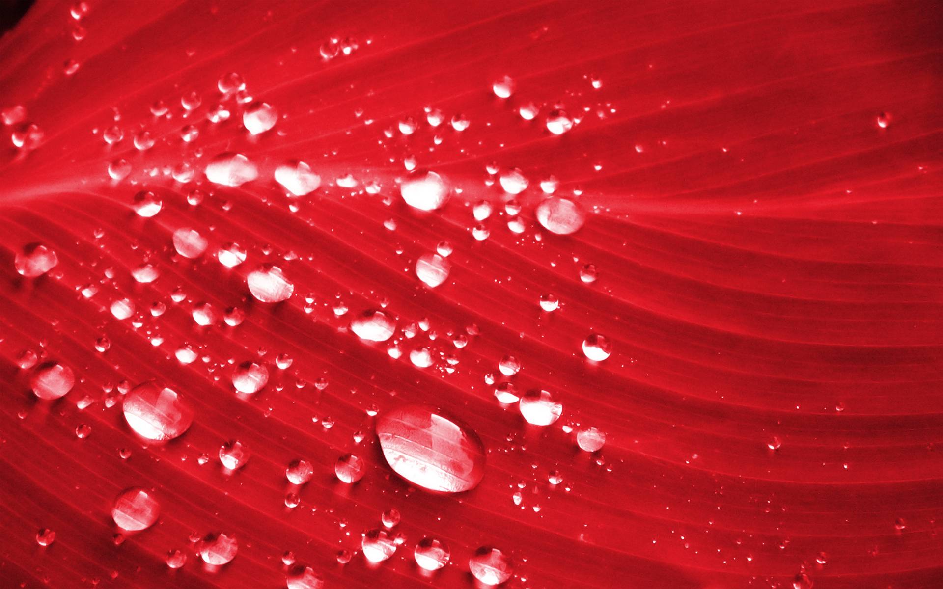 Red Background Wallpaper HD - 31