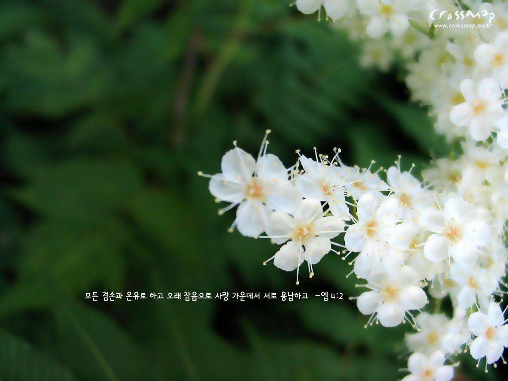 Christian wallpaper with Bible verses 1024x768 NO.40 Desktop