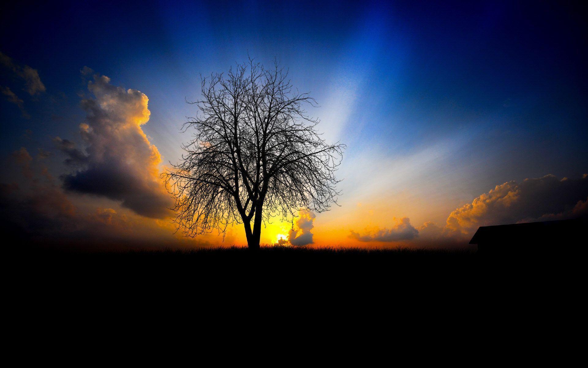Download High Definition Wallpaper Wallpaper Inn