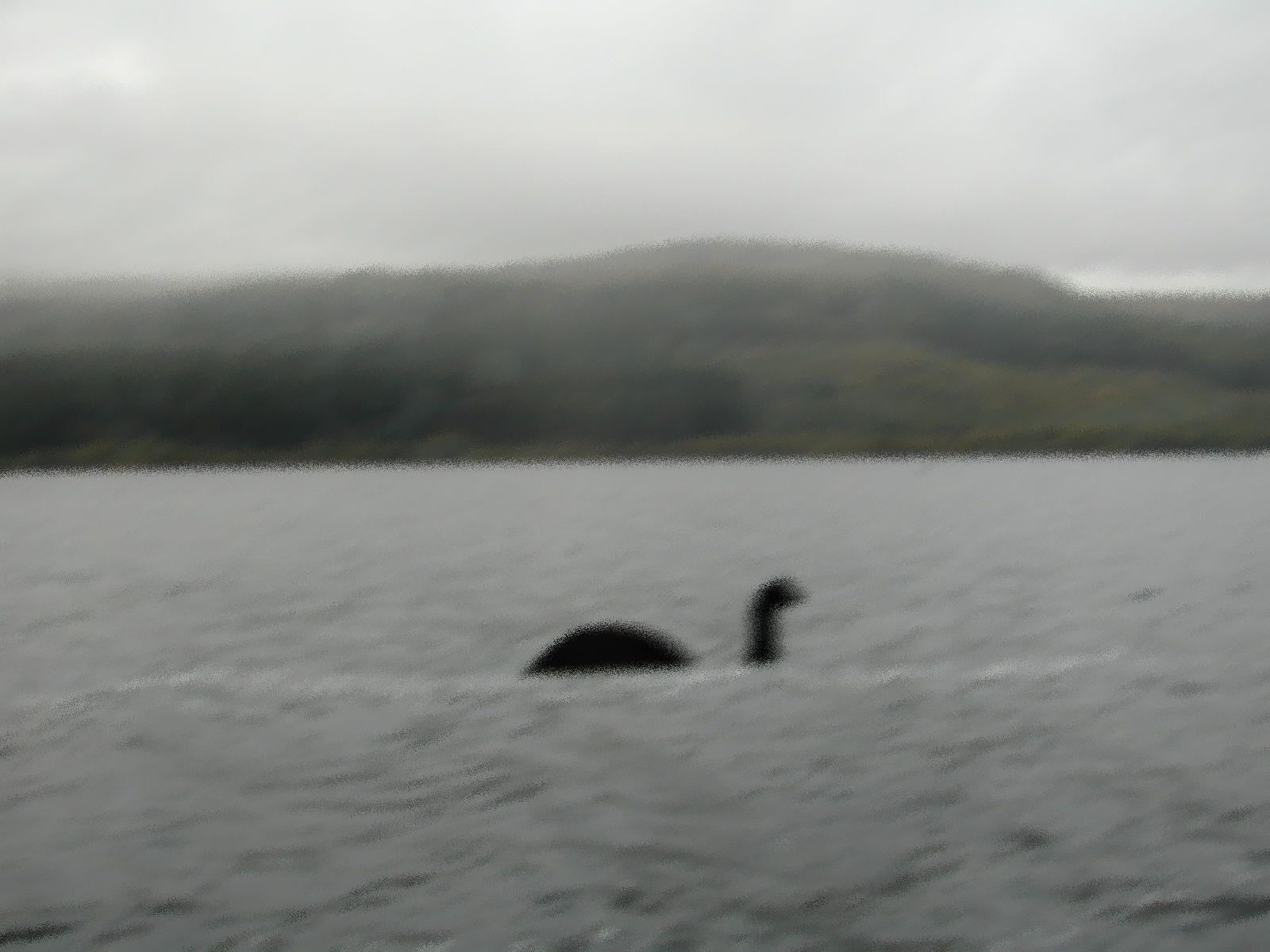 image For > Loch Ness Monster 2012 Real