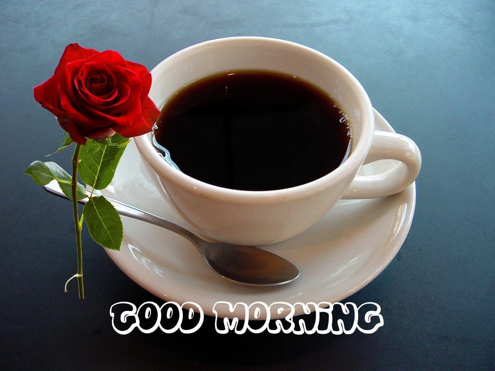 Best Good Morning Wishes With Rose HD Wallpaper. HD Wallpaper