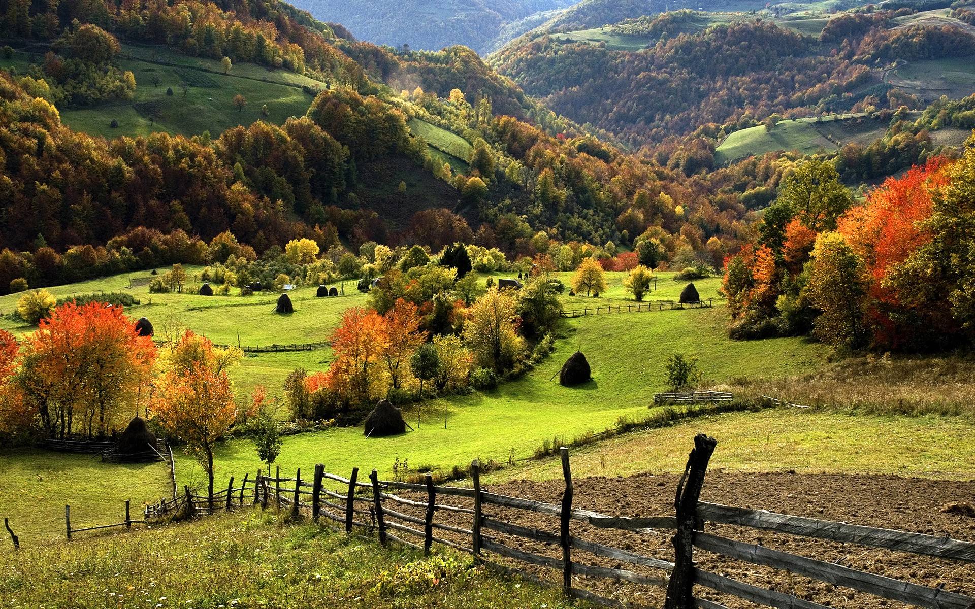 Serbia Landscapes Mountain