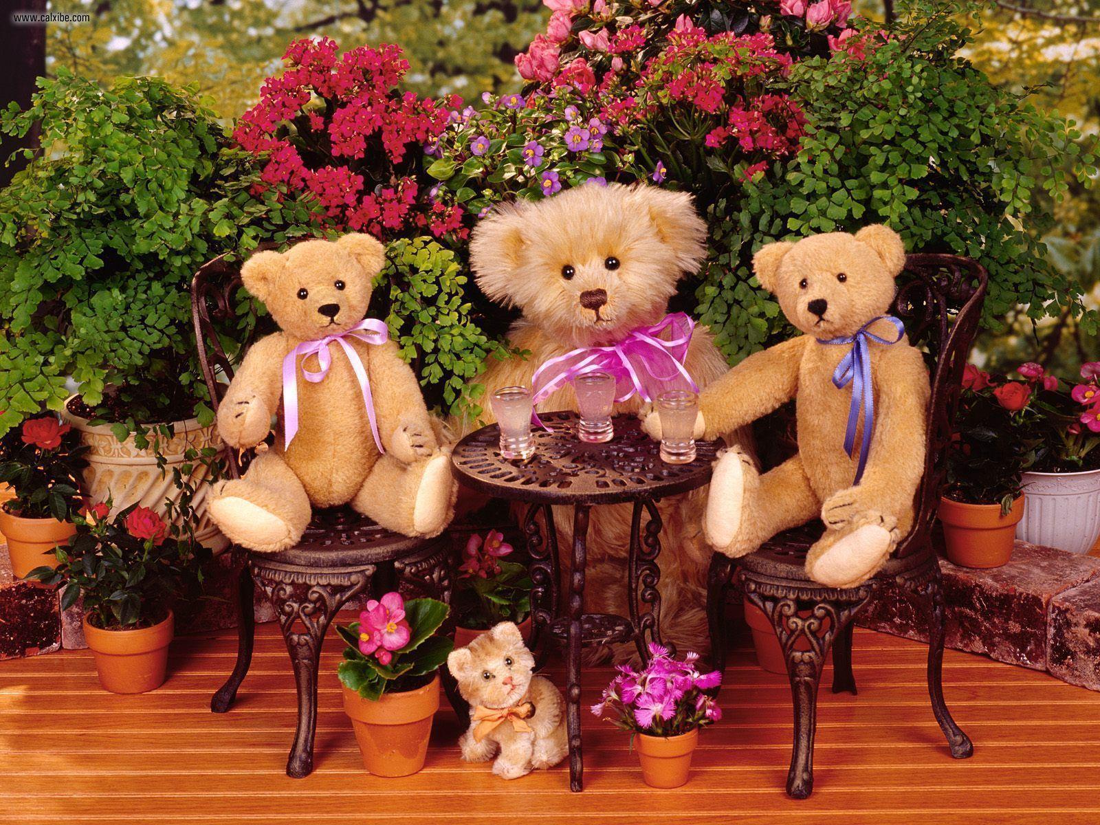 Teddy bears Animals Wallpaper