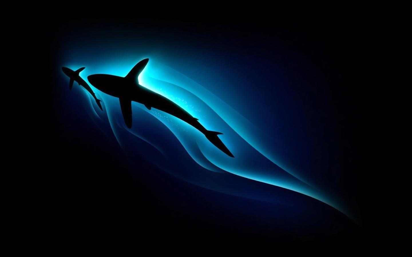 Desktop Wallpaper · Gallery · Windows 7 · Shark pc background