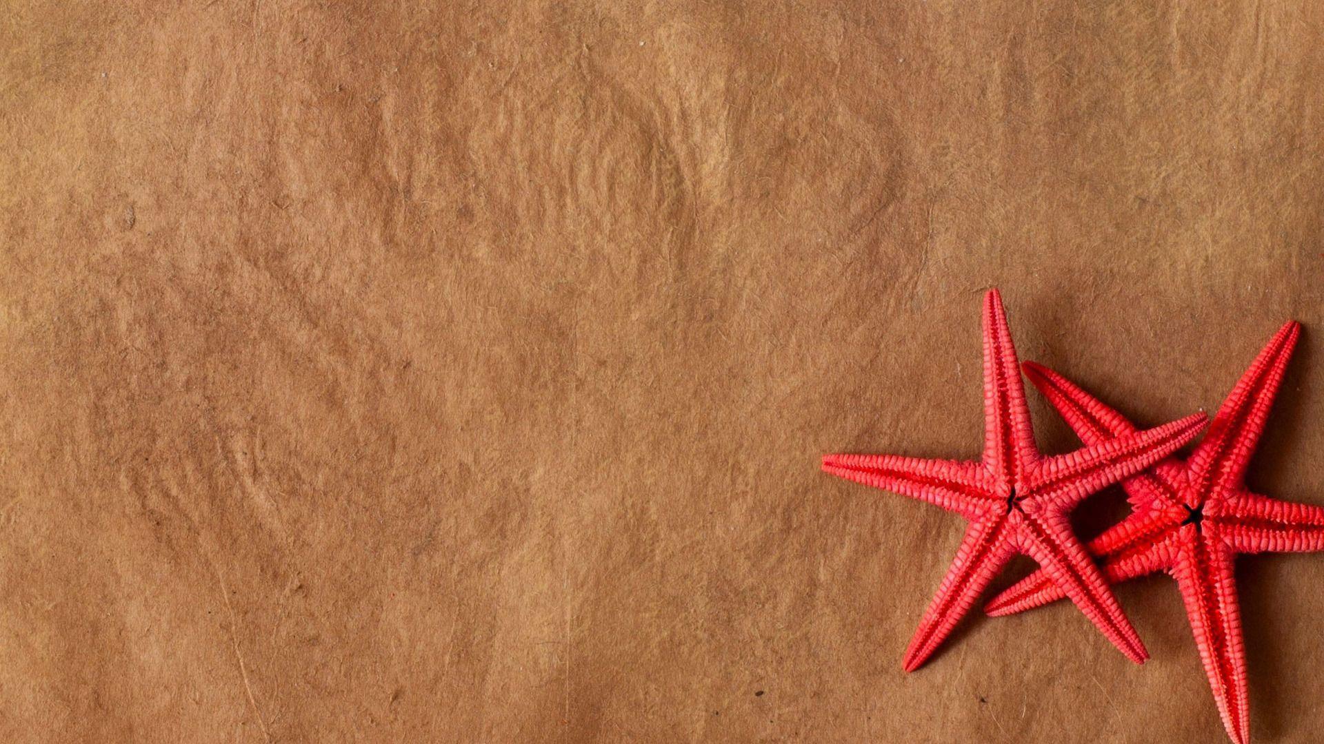 Starfish on old paper Wallpaper #