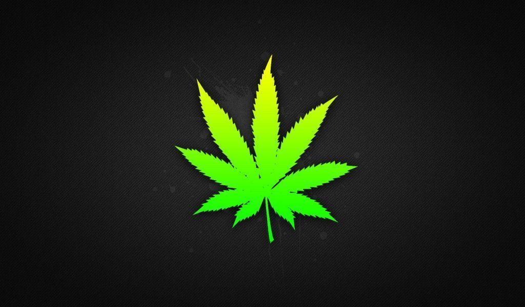 Rasta Weed Leaf Backgrounds Wallpapers Free Download