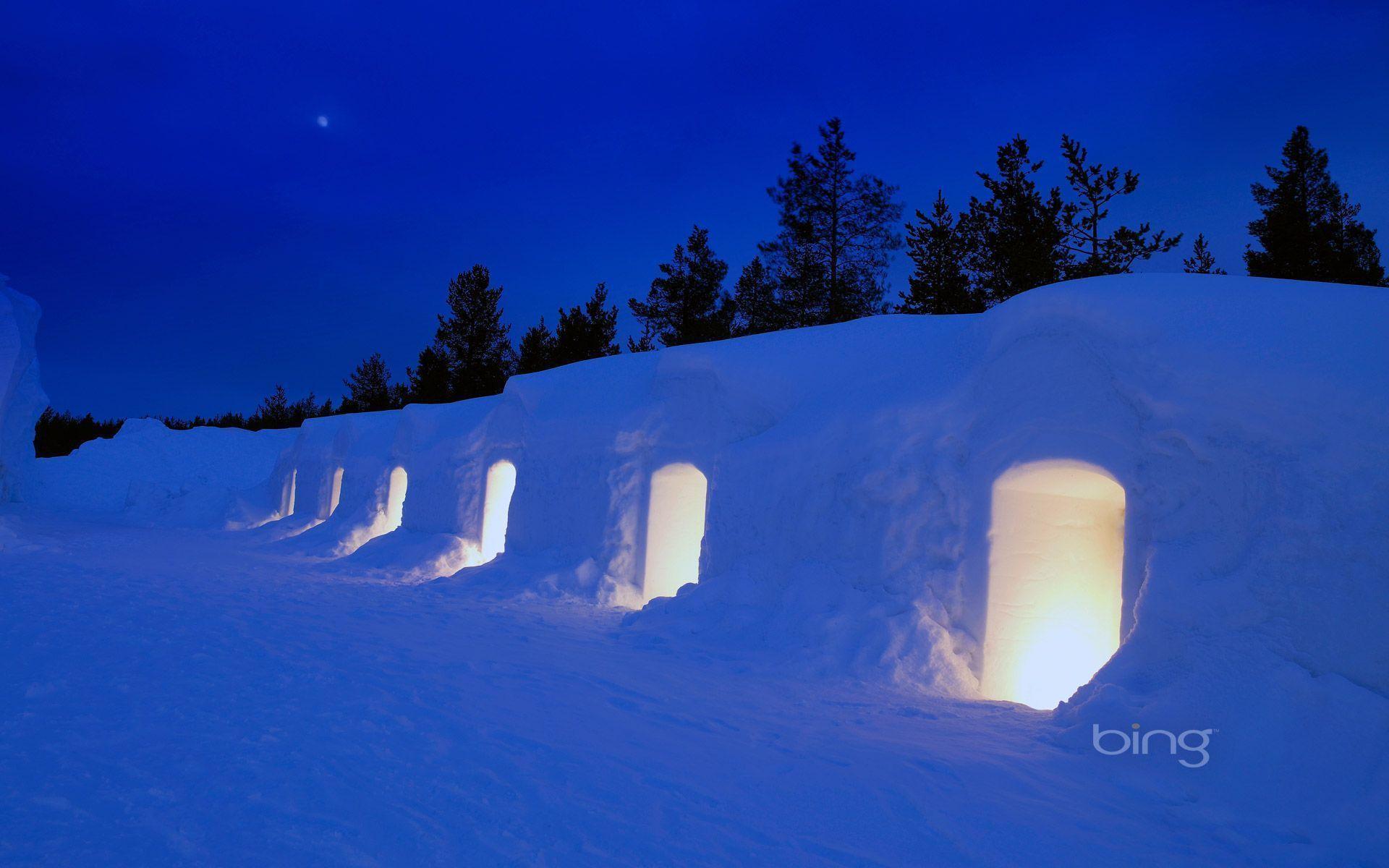 Bing Wallpaper of the Day, January 21, 2013 13:08. HD Bing