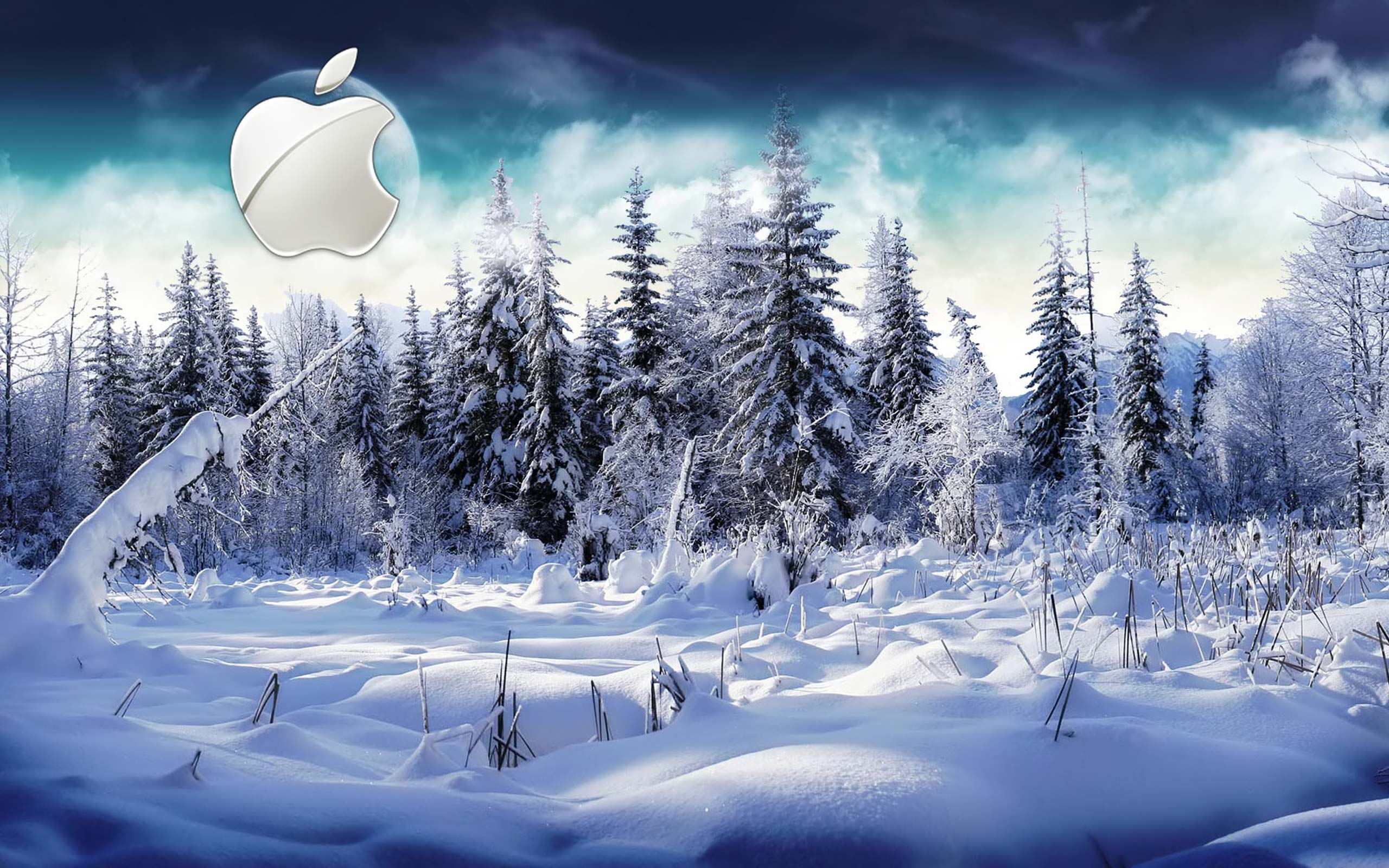 Desktop Wallpaper · Gallery · Computers · Winter Apple Mac