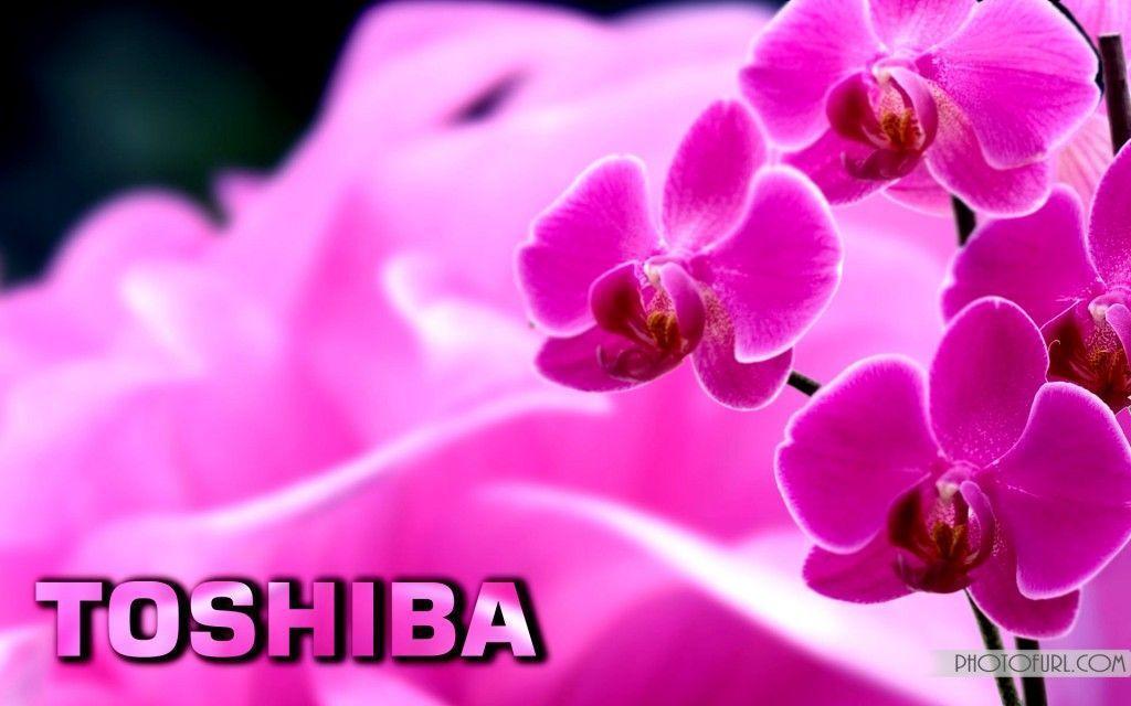 Toshiba Logo