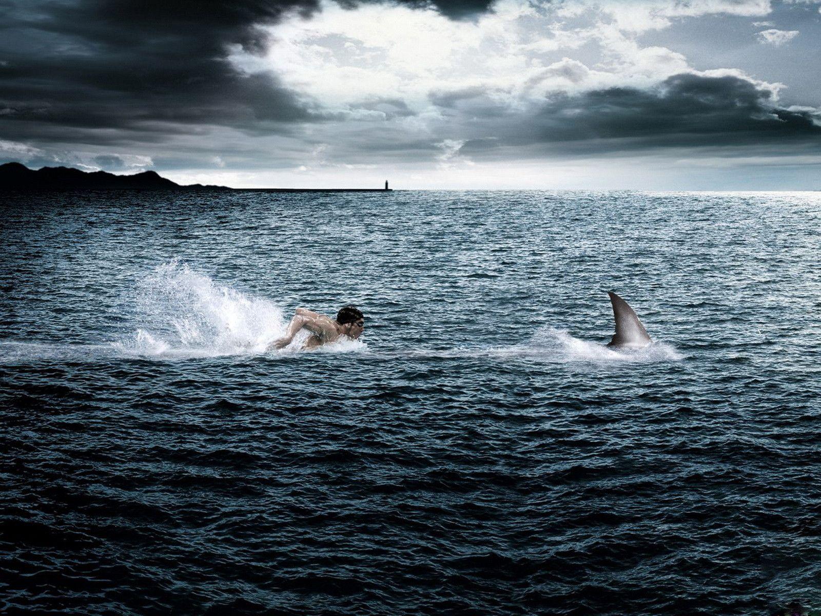 Extreme swimming wallpaper and image, picture, photo