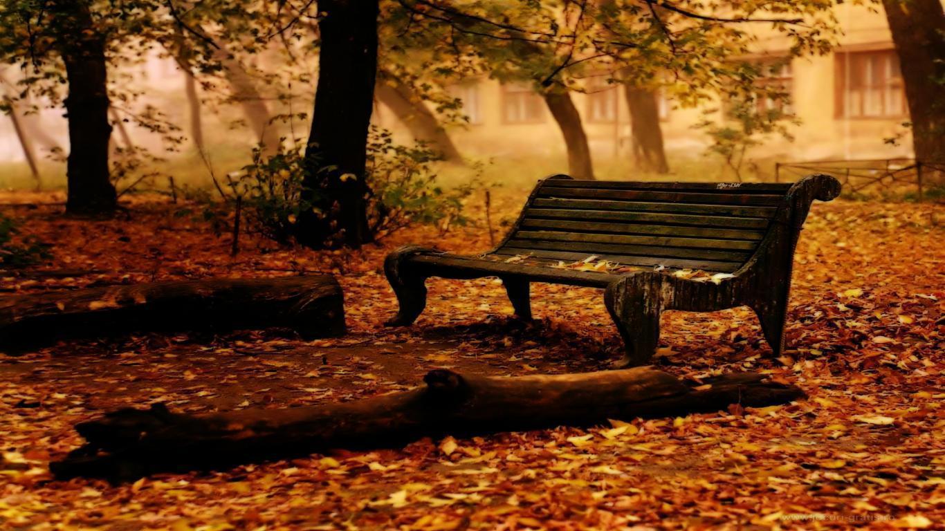 Wallpaper For > Fall Scenery Background
