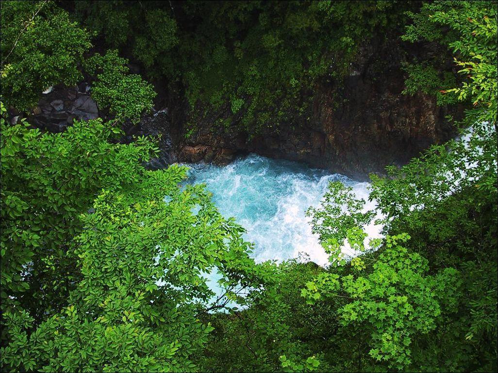 Mobile9 Wallpaper For PC