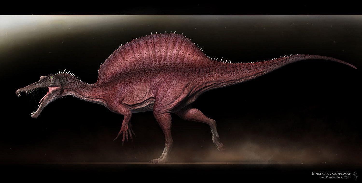 Spinosaurus Sketch