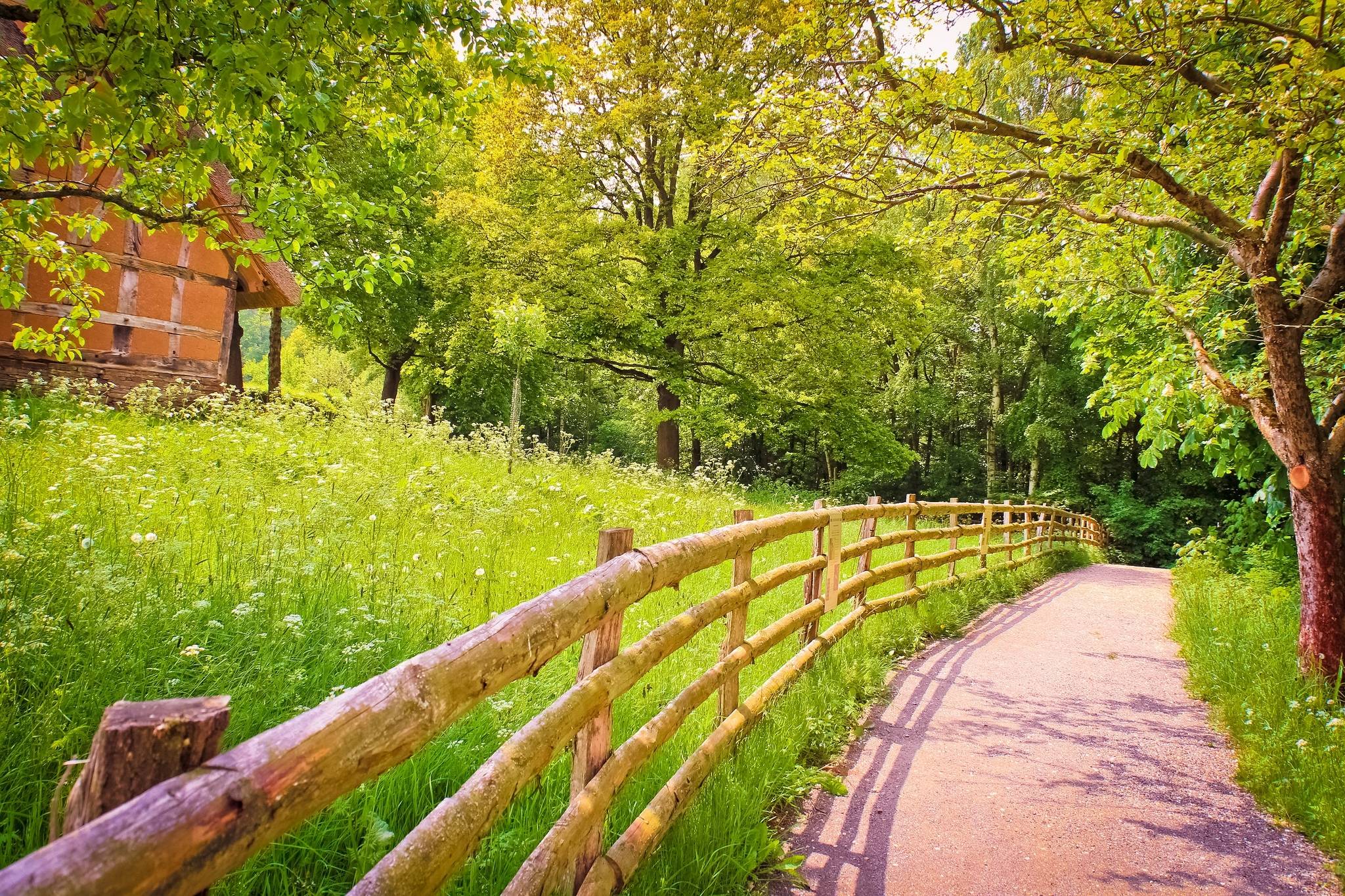 Road shadow fence wood trees grass green house summer nature